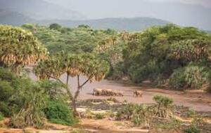 magical view of shaba reserve